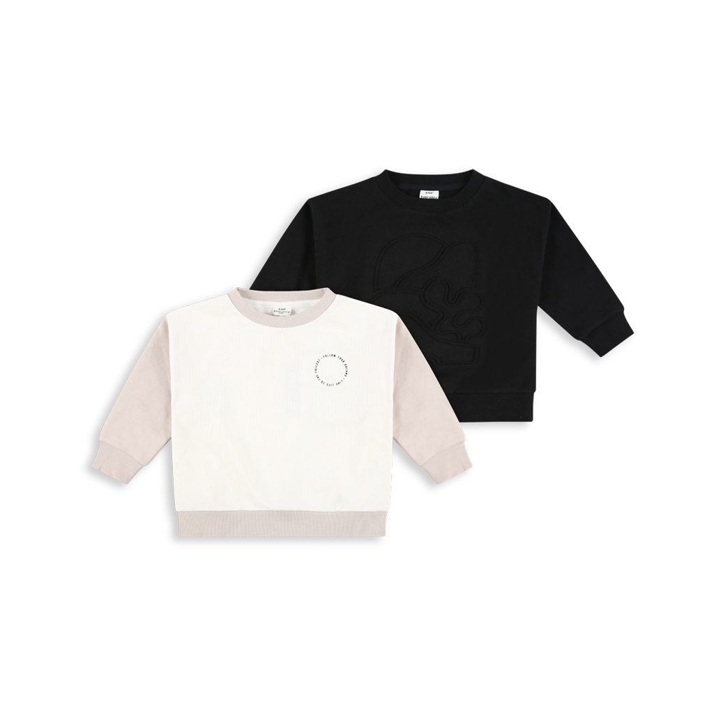 2 Sweatshirts Pack FB15