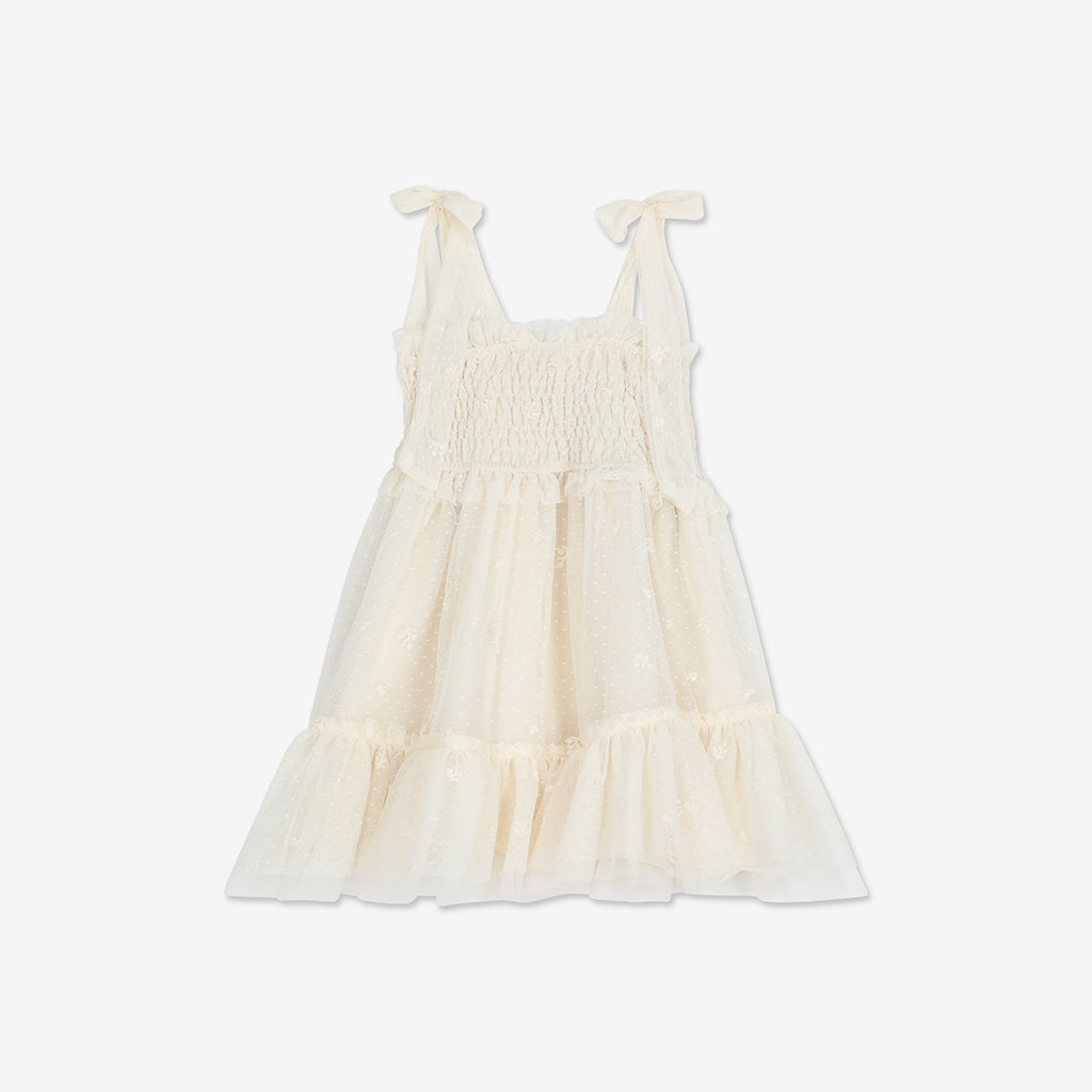 Embroidered Tulle Dress H18