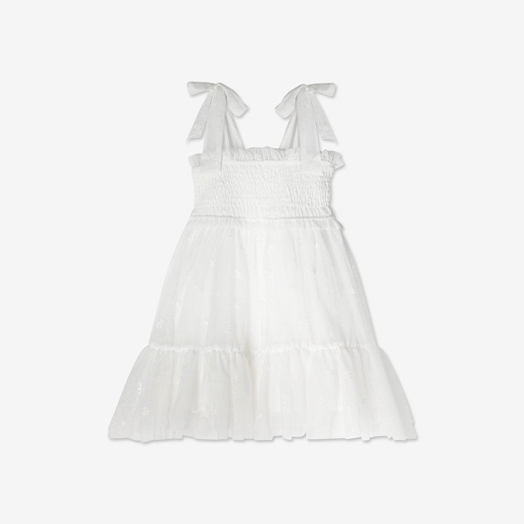 Embroidered Tulle Dress H18