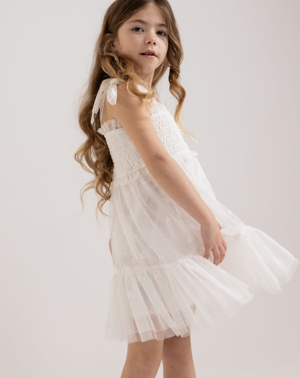 Embroidered Tulle Dress H18