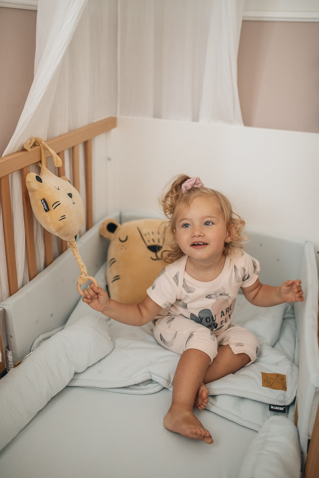 Baby Soft Music Toy - LIGHT GREY FOX