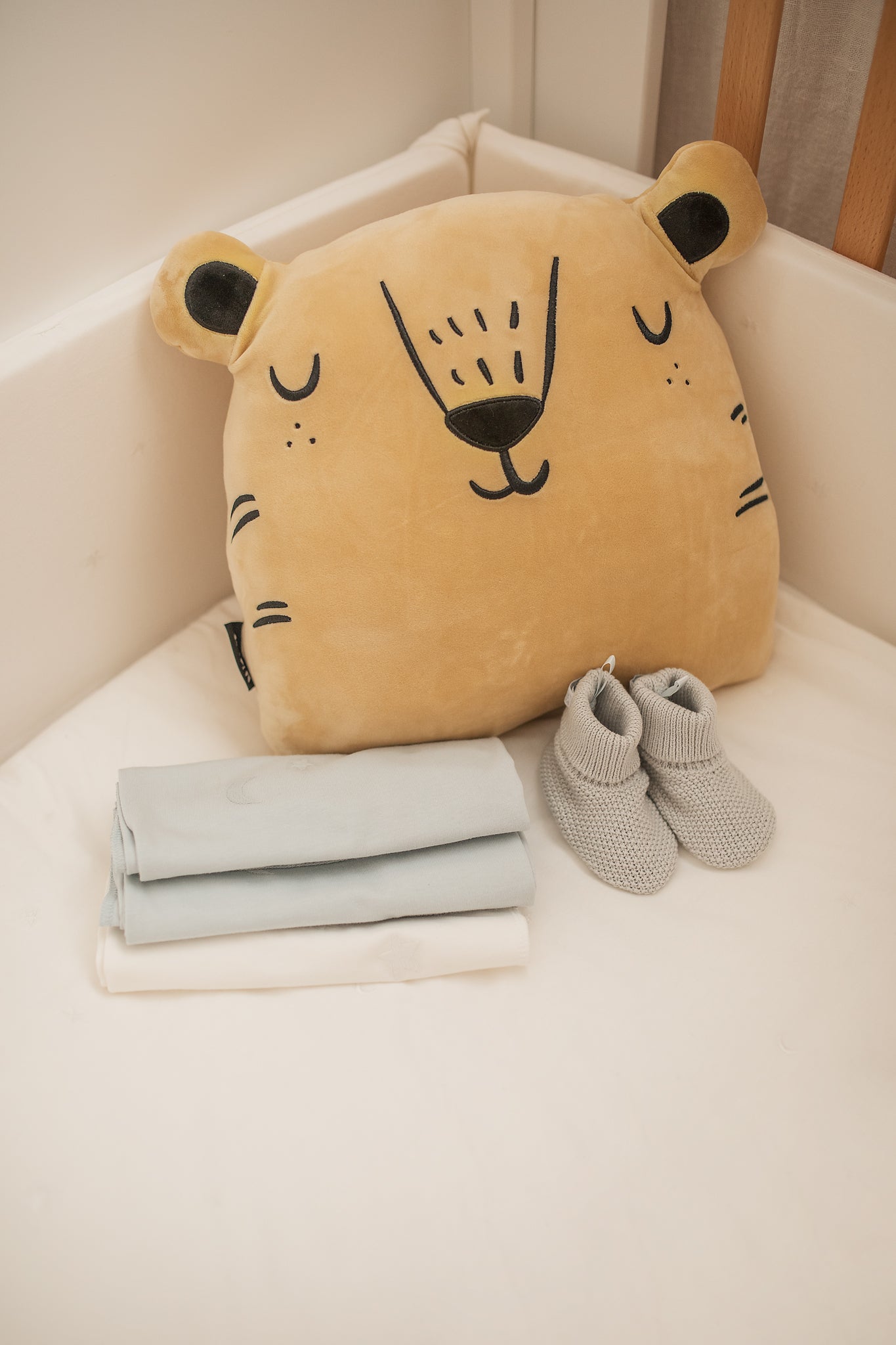 Velvet Pillow - BEAR