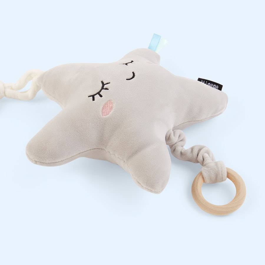 Mini Stylish Newborn Gift Basket