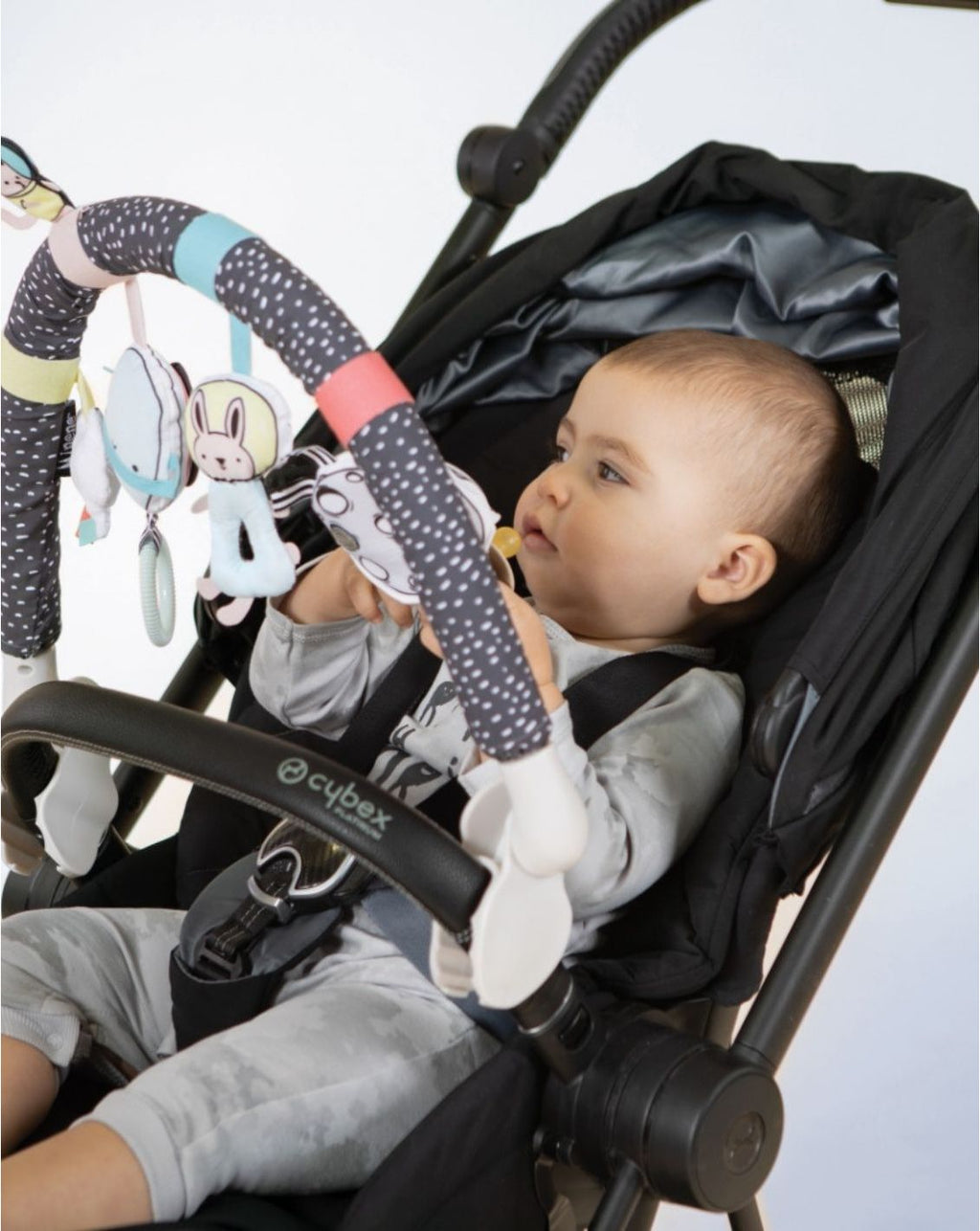 Stroller Activity Arch