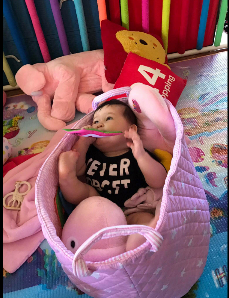 Large Multipurpose Basket 45x40cm